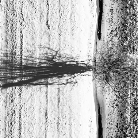 Drohnenaufnahme von einem verschneitem Feld mit kahlem Baum